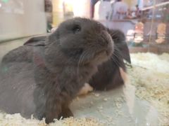 -7mall美食潮地标