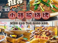 -福苗小骆驼烧烤(莲湖路店)