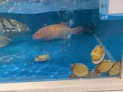 -金汤宴餐厅·粤菜(德云社店)