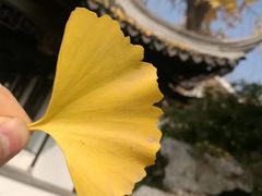 -浏河古镇