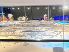 -中国（海南）南海博物馆