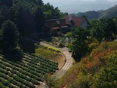 -云峰山自然风景区