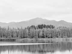 -野鸭湖国家湿地公园