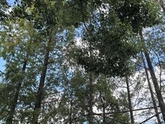 -J Create城市露营咖啡·简餐·宠物(上海动物园店)