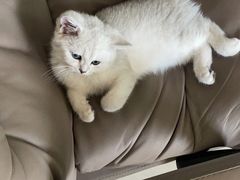 -宠颐生·恒爱宠物医院(静海店)