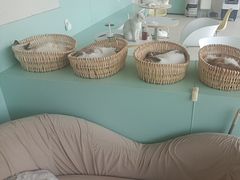 -怪兽屋·羊驼·猫咖·狗咖(俊华广场店)