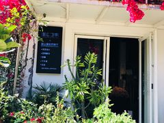 -蓝山四季西餐植物店