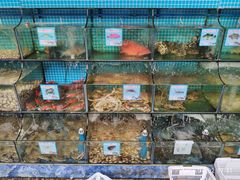 -范饭椰林川湘味海鲜·椰子鸡(三亚湾椰梦长廊店)