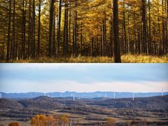 -塞罕坝国家级自然保护区