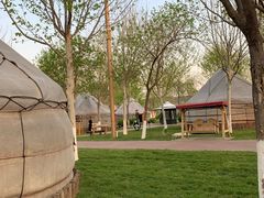 -九十九顶毡房(阜石路店)