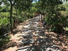 -大亚湾红树林城市湿地公园