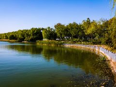 -大兴滨河森林公园