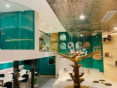 -飞行喵MR PILOT|猫舍·猫咖(静安大融城店)