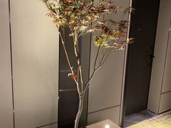 -深圳滨河时代ICON LAB艾垦酒店