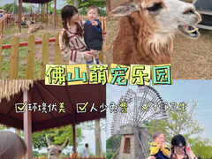 -王借岗森林公园