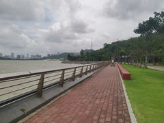 -野狸岛
