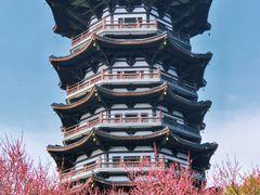 -洋湖国家湿地公园