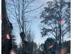 -东湖磨山景区