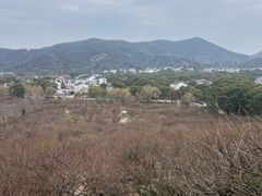 -香雪海