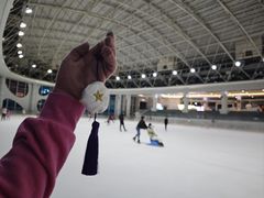 -世界之窗阿尔卑斯冰雪世界