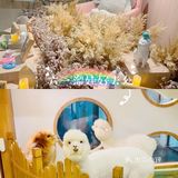 六一出游 | 亲子体验馆不容错过[胜利]