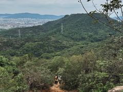 -灵岩山风景区