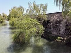 -同里国家湿地公园