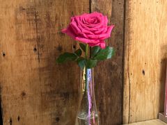 -同福龙虾(高新店)