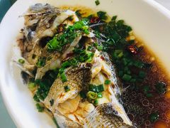 -金海湾海鲜排档(朱家尖店)