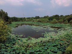 -东湖落雁景区