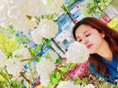 -大龙山(地铁站)