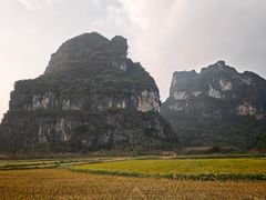 -明仕田园