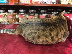 -么凤(波斯富街店)