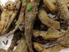 -金海湾海鲜排档(朱家尖店)