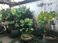 -院子餐厅·大锅菜·老杭帮(桥西直街店)