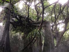 -青青世界