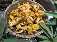 -滇铺子·云南特色菜·鲜花野菜季(东风东路c86店)