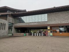 -都江堰中华大熊猫苑
