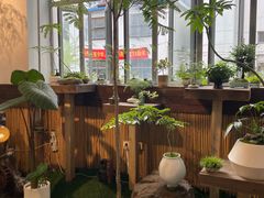 -双季花艺园艺市场(浦东店)