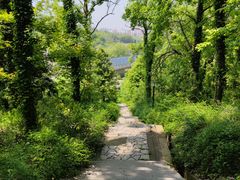 -镇南锅盖面馆(解放路店)