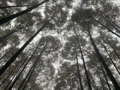-山王坪喀斯特国家生态公园