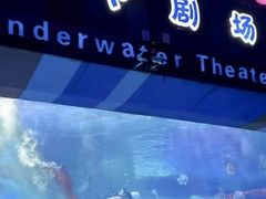 -泉城欧乐堡海洋极地世界