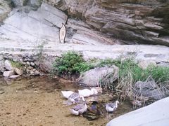 -黑龙潭风景区