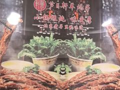 -芦月轩羊蝎子(北蜂窝店)