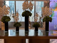 -花城苑广府菜(侨鑫店)
