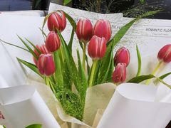 -循礼门鲜花花市(武汉循礼门店)