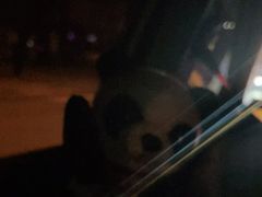 -渡娘火锅(大兴大悦春风里店)