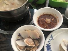 白贝-蚝专家