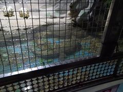 -苏州海洋馆