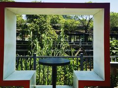 -红山村